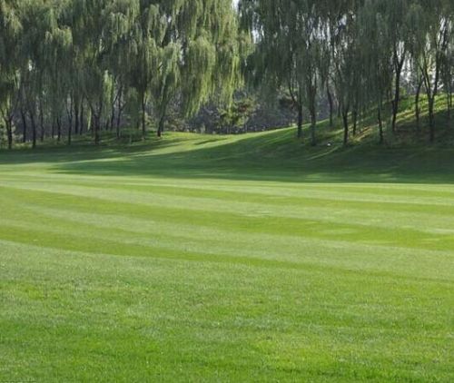 �����ļ�������