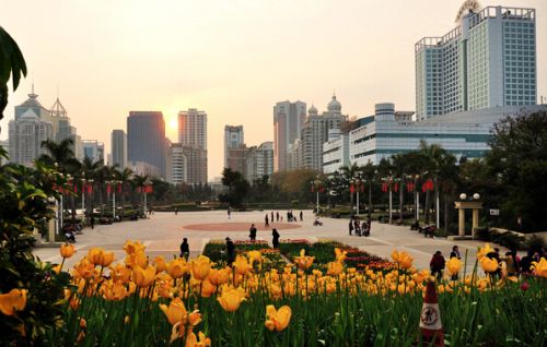 �㳡������