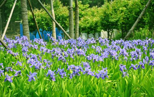 �����β��