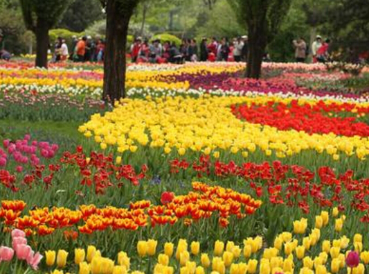 ��԰������