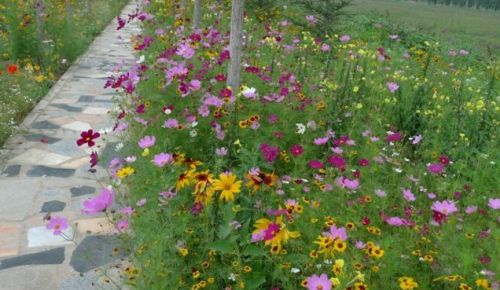 ��·�������