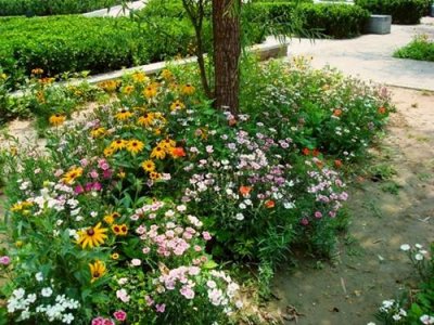 ����Ұ���������