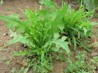 ��ݤ������