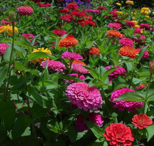 ���ղ�����