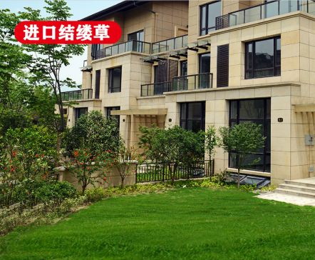 ��ƺ����