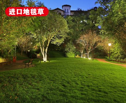 ��ƺ����